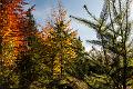 2015_10_26 (0042)